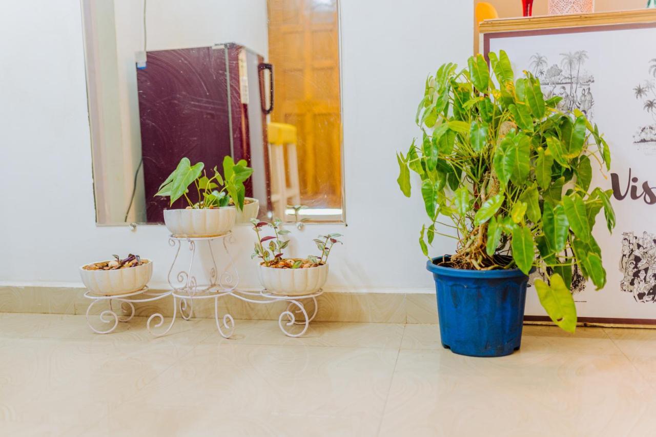 مبيت وإفطار Saligao White House In Goa, Truly Amazing Experience المظهر الخارجي الصورة